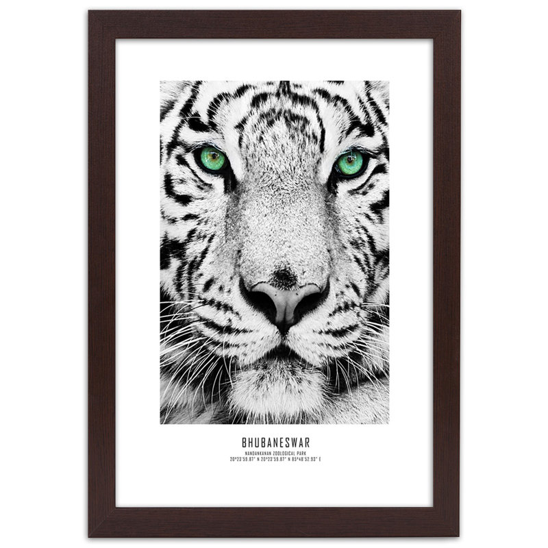 African Tigers - Single Picture Frame Print, 100cm H x 70cm W, Brown