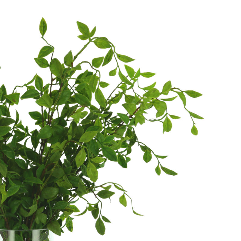 Organic Modern Faux Ivy Plant