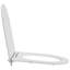Toilet Seat Duroplast Modern Accessory Bathroom Fixture Indoor Sanitary-1914724021