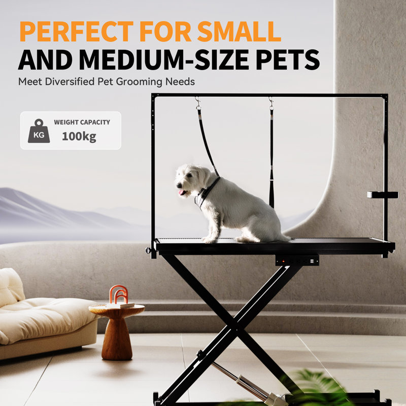 Table de toilettage professionnelle pour chien électrique, table de toilettage pour animaux à hauteur réglable avec roues de nivellement