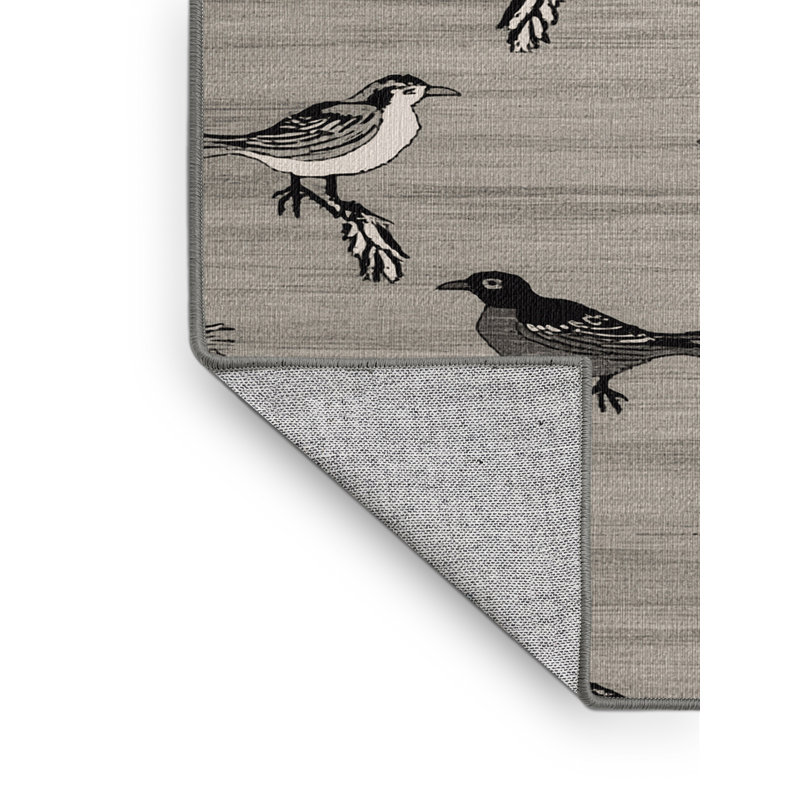  Tapis lavable pour oiseaux communs, Rectangulaire 3 pi x 5 pi