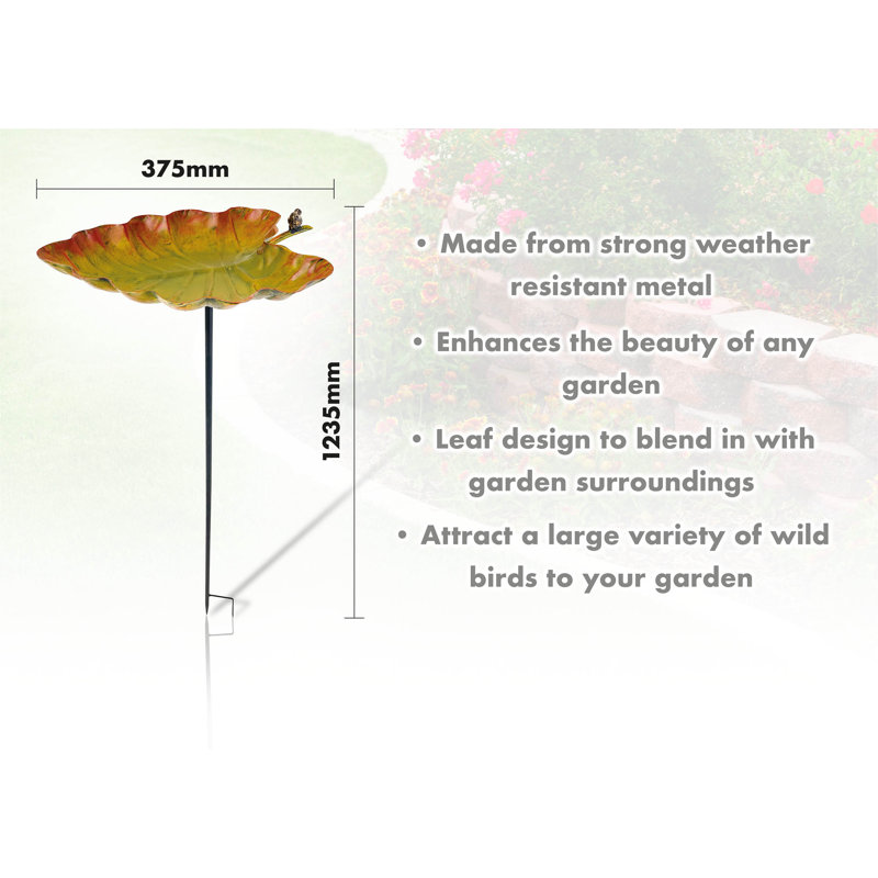Aviara freestanding Bird  Bath and Feeder