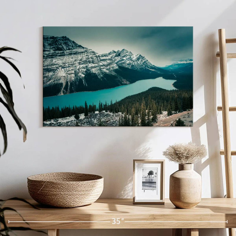 Alvord Peyto Lake, H 16 po x l 24 po