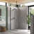 Brushed Nickel selected