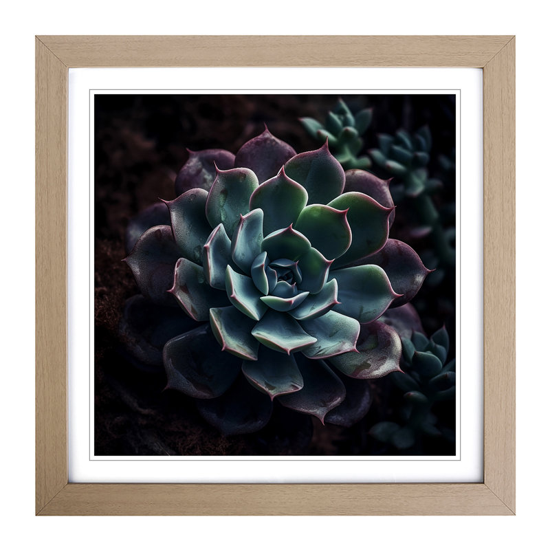 Succulent Photograph No.1 - Framed Print, Oak
