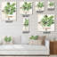Horloge murale rétro Vintage Botanicals VII-1393156200