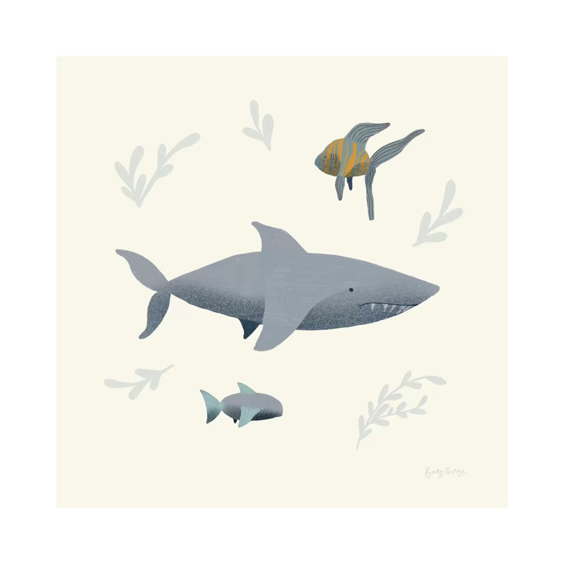 Ocean Life Shark by Becky Thorns - Wrapped Canvas Print, 30.48 cm H x 30.48 cm W