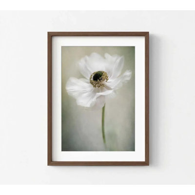 Botanical Wall Art: White Anemone Flower - Minimalist Decor