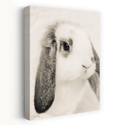 Harriot's Picture Day Contemporary Rabbit Forest Art