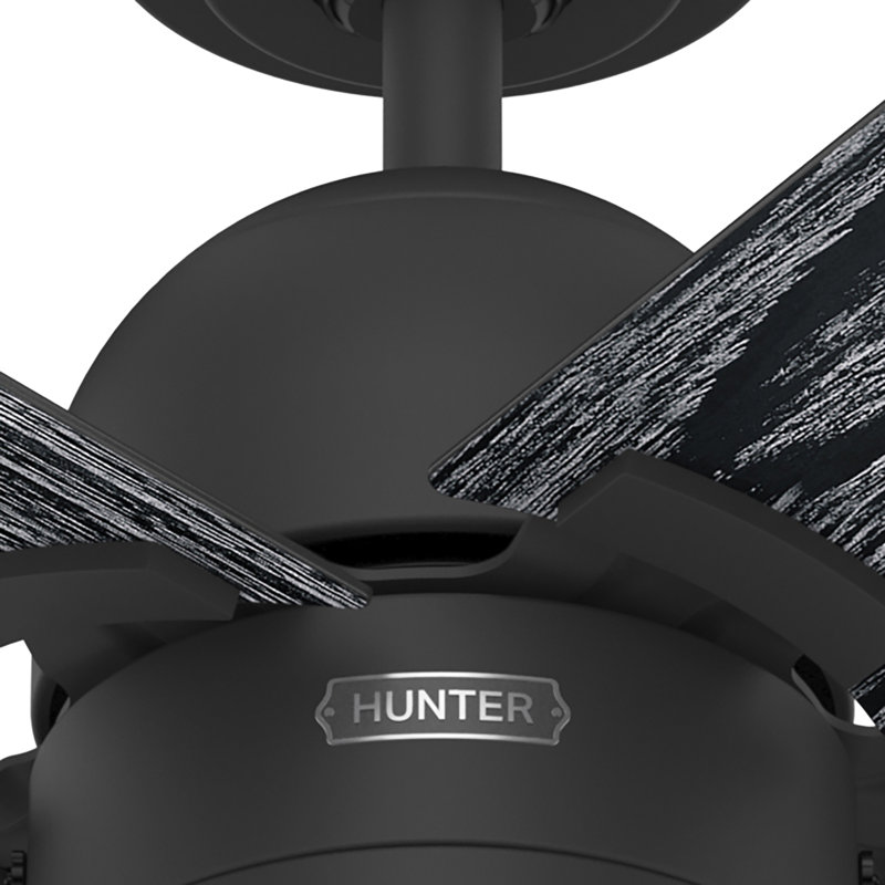 Ventilateur de plafond à 6 pales de 52 po avec ensemble de lumières DEL et chaînette Erling, Noir mat