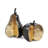Gilded Pear