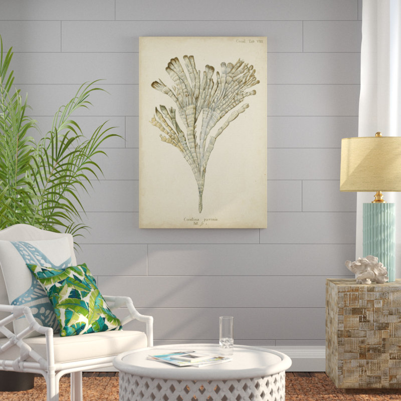 Coral Collection I by Johann Esper - Painting Print, 122cm H x 81cm W, Wrapped Canvas