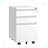 3 Drawer Mobile File Cabinet with Lock,Metal Filing Cabinets for Home Office Organizer Letters/Legal/A4,Fully Assembled-1419935824