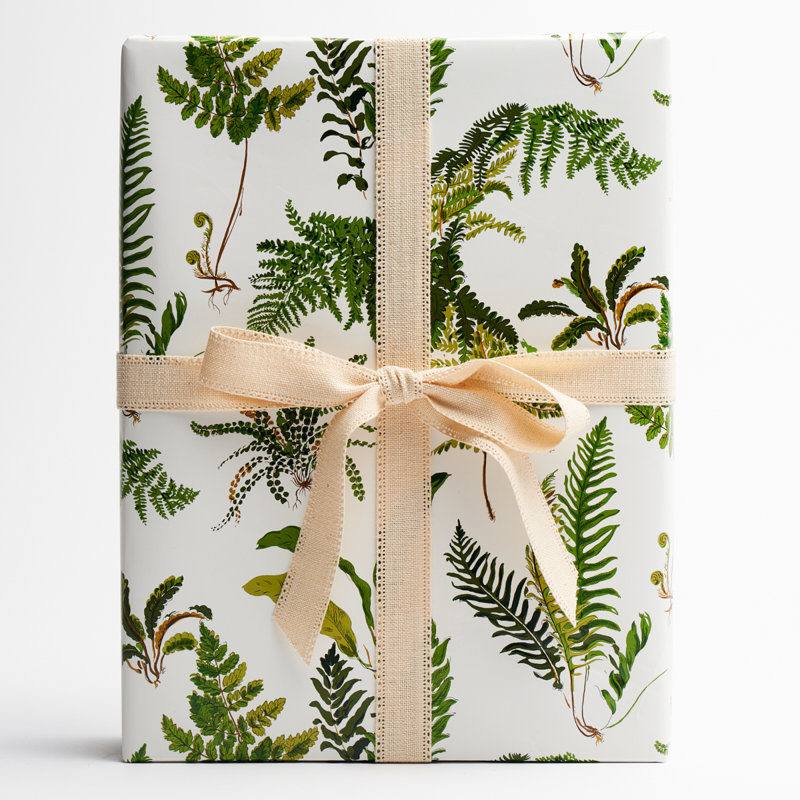 Papier d'emballage Les Fougères