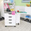 Shirley Rolling Storage Caddy-53464921