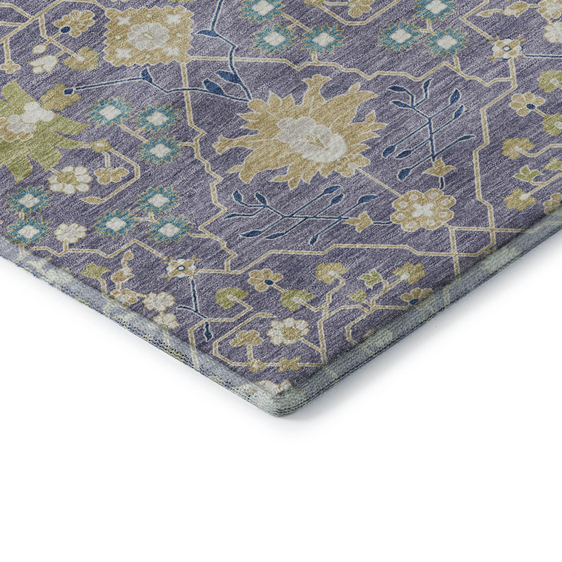 Premium Machine Washable Guada AMF1009 Oriental Rug, Rectangle 10' x 14'