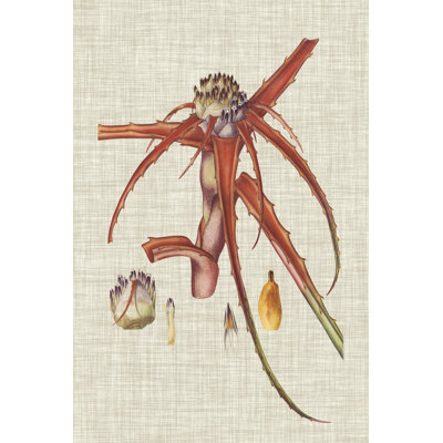 Elegant Tropicals VI by Vision Studio - Wrapped Canvas Painting
