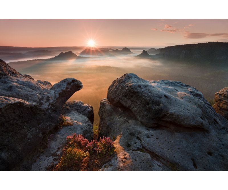 Wrapped Canvas Print, 121.92 cm H x 81.28 cm W