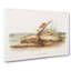 Orange Mice by J.W. Audubon - Wrapped Canvas Painting-55366720