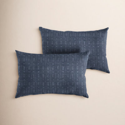 Davant Geometric Sunbrella® Indoor/Outdoor Lumbar Throw Pillow