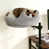 Light gray is out of stock selected