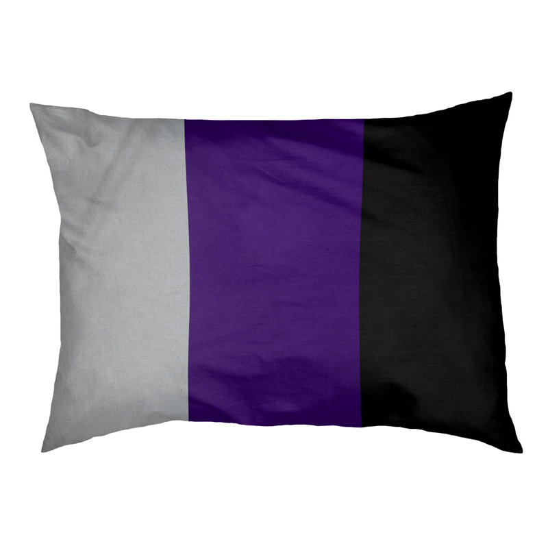 Coussin Houston, Moyen (H 9,5 po x l 28 po x P 18 po), Argent / mauve / noir