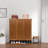 30 Pair Shoe Storage Cabinet