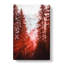 Mountain Through The Forest In Abstract - Wrapped Canvas-55308623