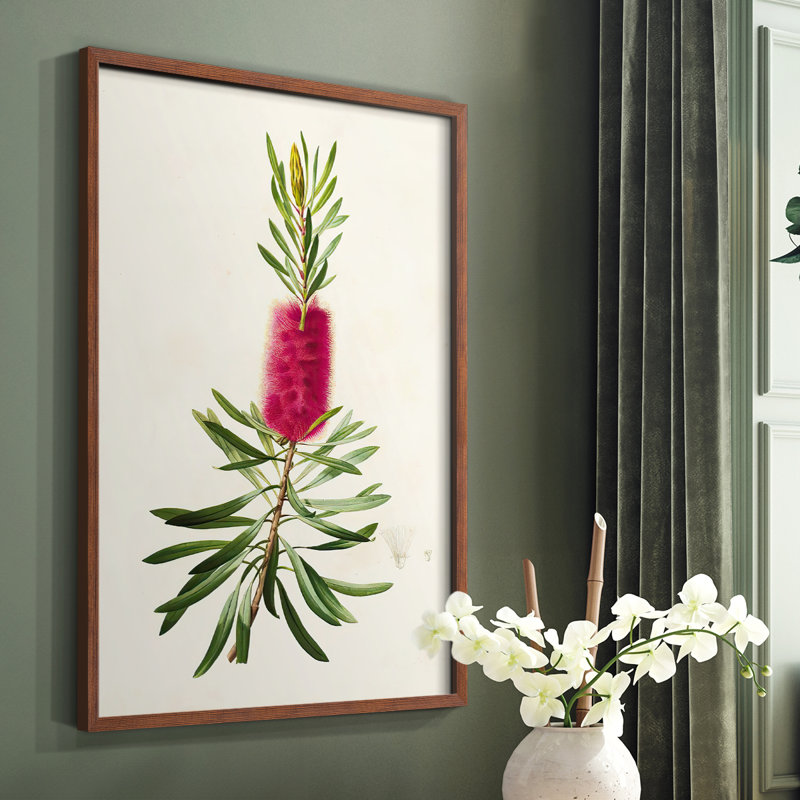 «Pretty Pink Botanicals VII», reproduction encadrée - bois massif, H 14 po x l 11 po, Brun