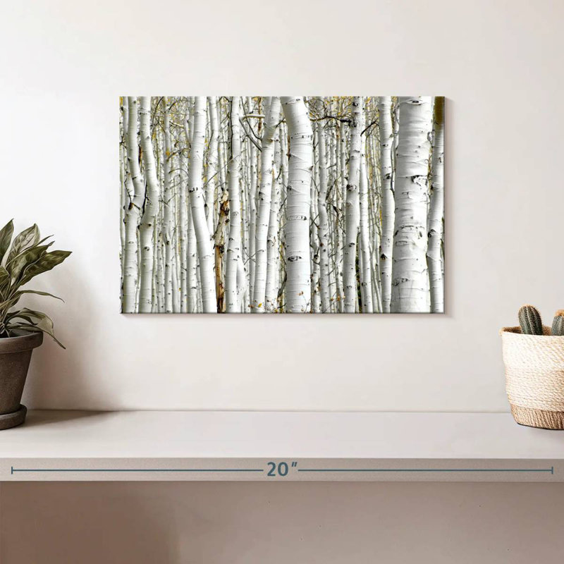Alvord Birch Wood, 8" H x 12" W