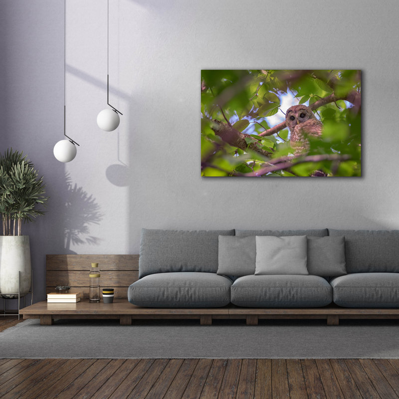 Toile épique Graffiti «The Watcher» par Rick Berk, 60 po x 40 po