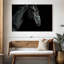 Tête de cheval Brampt-107687040