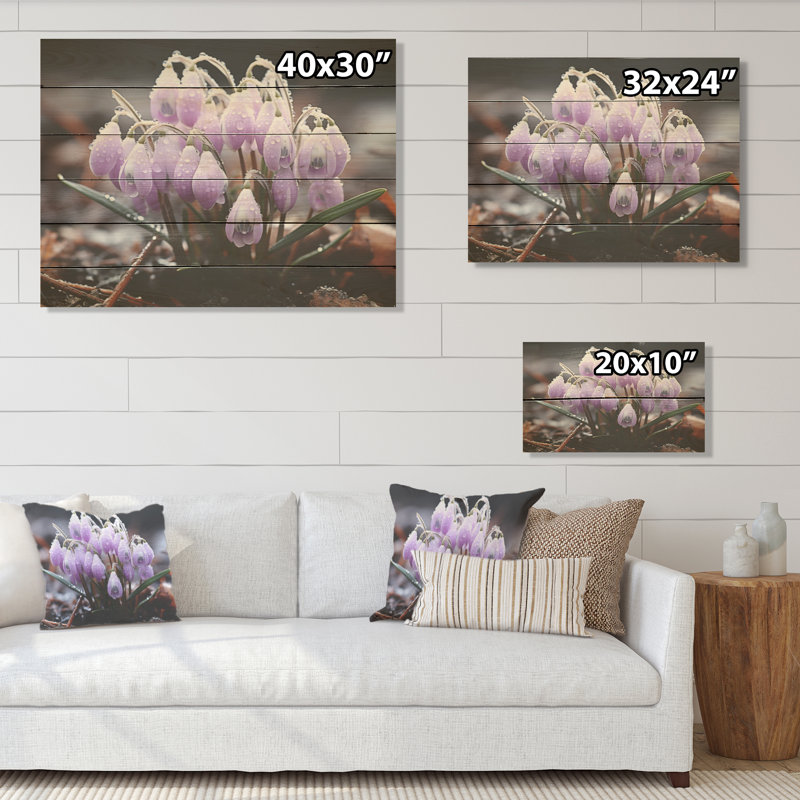 Lavande, neige enneigée, fleur d'hiver - Snowdrops, art sur bois de pin naturel, H 30 po x l 40 po