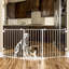 Barrière pour animaux Flexi-27272854