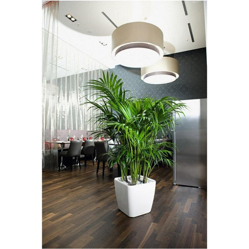 Quadro Premium Pot Planter, White