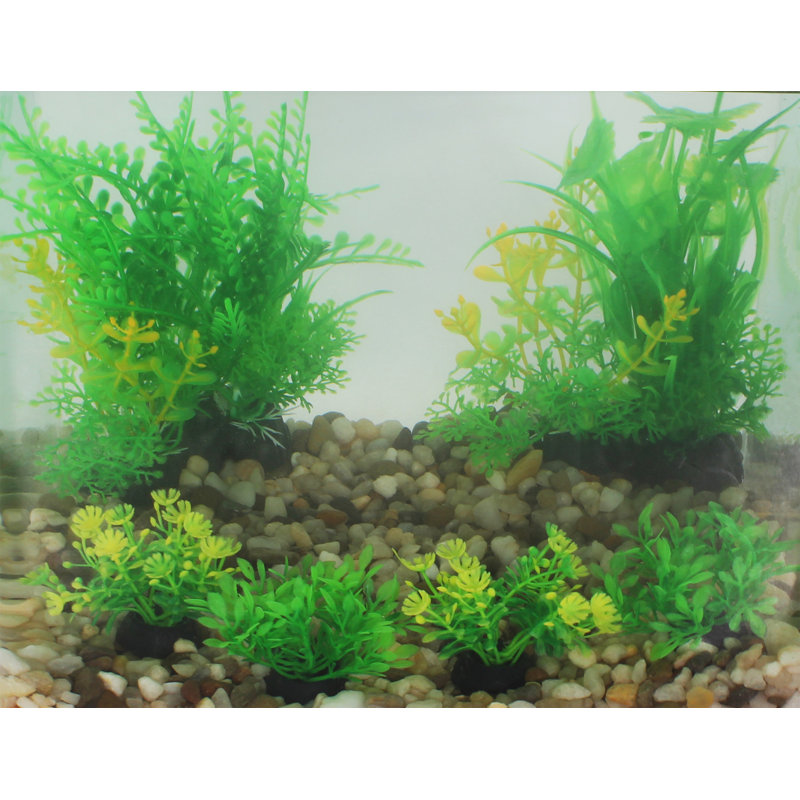  Aquarium Accessory