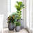 Dorlis Fiberstone Pot Planter-888476463-888476461
