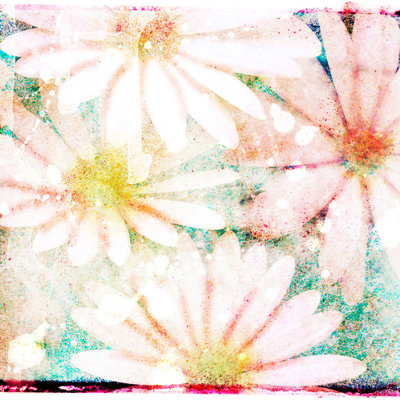 Jen Lee - Wrapped Canvas Print