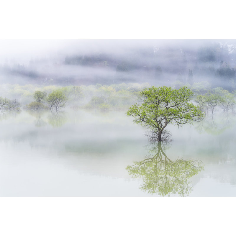 Wrapped Canvas Print, 60.96 cm H x 91.44 cm W