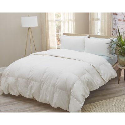 Down Duvet Insert - All Season Weight - Full/Queen - White