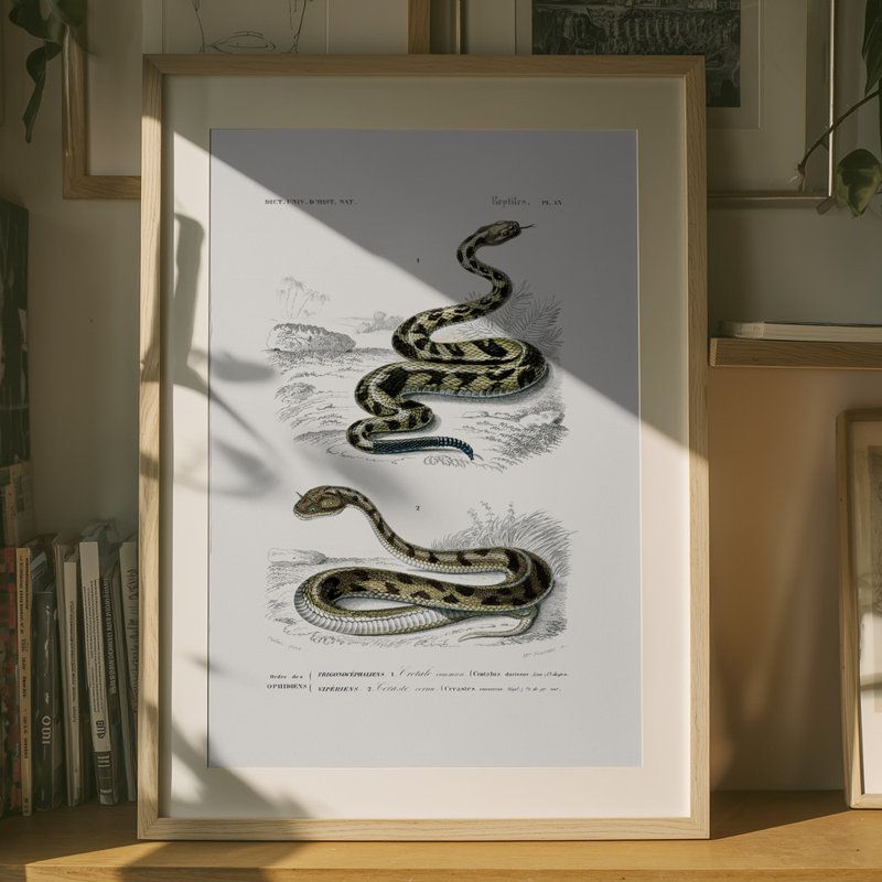 Wrapped Canvas Print, 76.2 cm H x 50.8 cm W