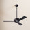 Altus 42'' 3 Blade Ceiling Fan