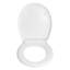 Devillage Soft Close Elongated Toilet Seat