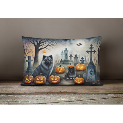 Other/No Pattern Outdoor Throw Pillow