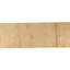 Hand Knotted Area Rug in Gold