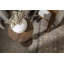 Table de bout à piédestal en bois massif Anike-243029203