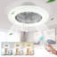 Ceallach Ceiling Fan with Light Kit