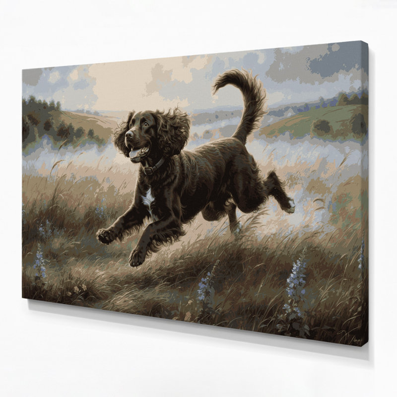 «Dogs Irish Water Spaniel», art mural sur toile brune, H 12 po x l 18 po