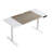 Fanchon Electric Height Adjustable Standing Desk-1333153728-1314955138