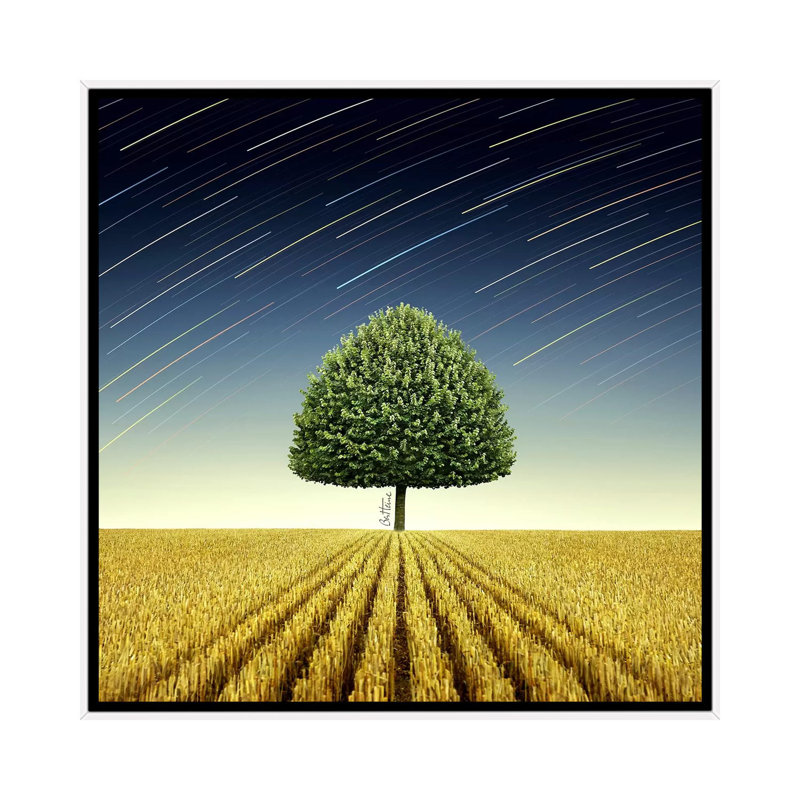 Newton's Apple Tree by Ben Heine - Print on Canvas, 66.04 cm H x 66.04 cm W, White Framed